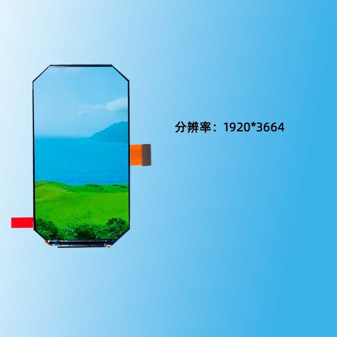 5.46 inch AMOLED Επίδειξη module technical details