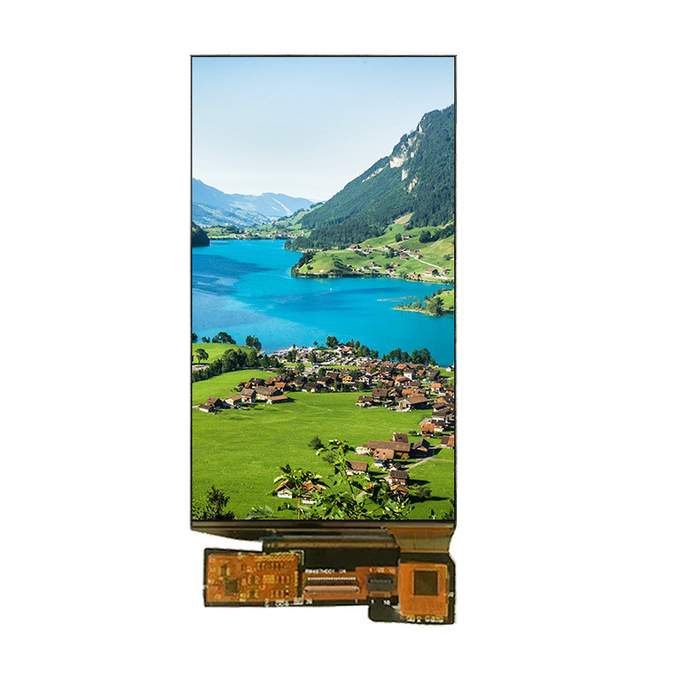 4.97 inch AMOLED Επίδειξη close-up